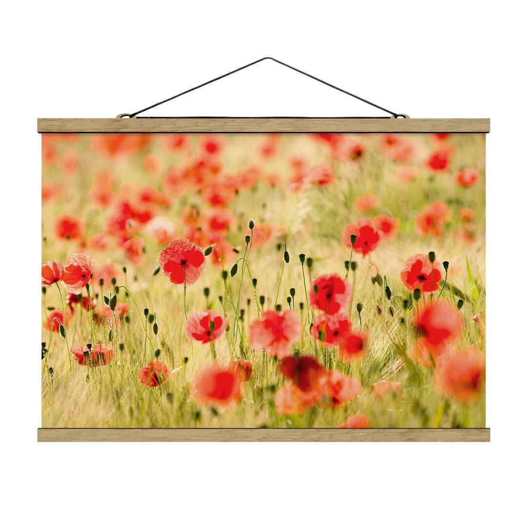 Wandbild Summer Poppies