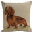Beige/Brown Pickles The Dog selected