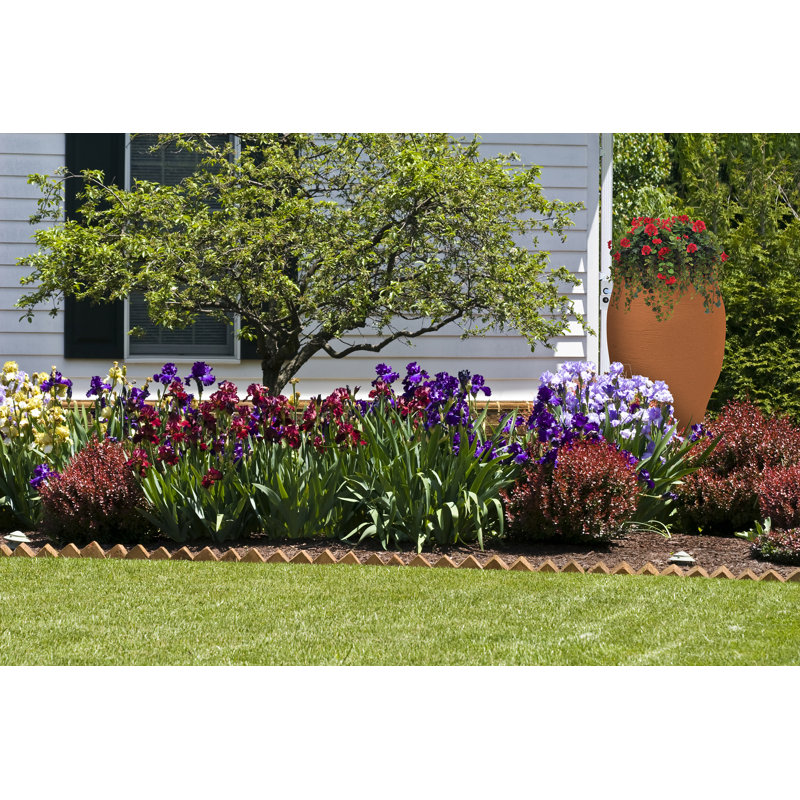 Terracotta 50 Gallon Plastic Rain Barrel with Planter