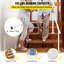 Aluminium Stair Railing, Outside Railing, House Entrance Railing, Adjustable Angle Stair Handrail, Indoor & Outdoor Stairs For The Elderly (5 Ft, White)