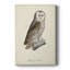 French Owls V - galerie sur mesure-837338673