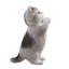 Animals Weather Resistant Polyresin Garden Statue-2140795306