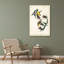 «Lark Manor ™ Audubon, John James Gallery, art sur toile tendue: chardonneret américain-797377221