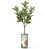Forme abstraite vert