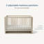 NorCal 4 -in-1 Convertible Crib