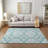Loreen Indoor/Outdoor Area Rug with Non-Slip Backing-607165018