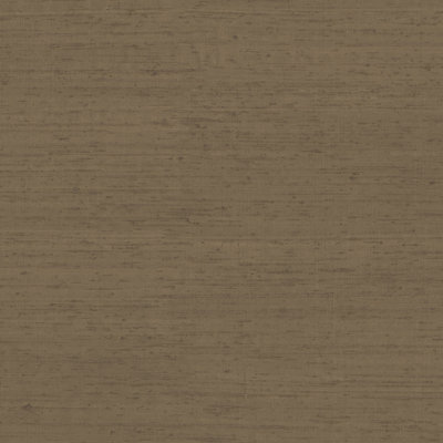 Palazzo Plain Silk Texture Wallpaper Roll