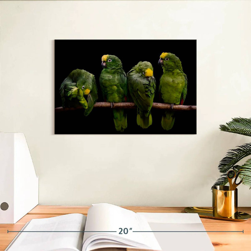 Crowned Parrots, 8" H x 12" W