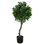 Faux Ficus Topiary in Pot