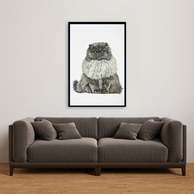 " Blue Gray Persian Cat "