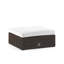 Delmar Glass Coffee Table