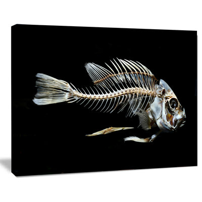 «Fish Skeleton Bone on Black», impression sur toile tendue