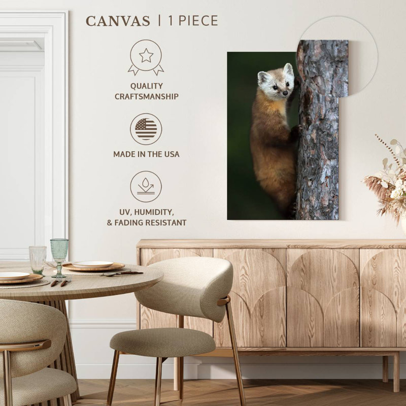 Brampt Wild American Marten, 12" H x 8" W