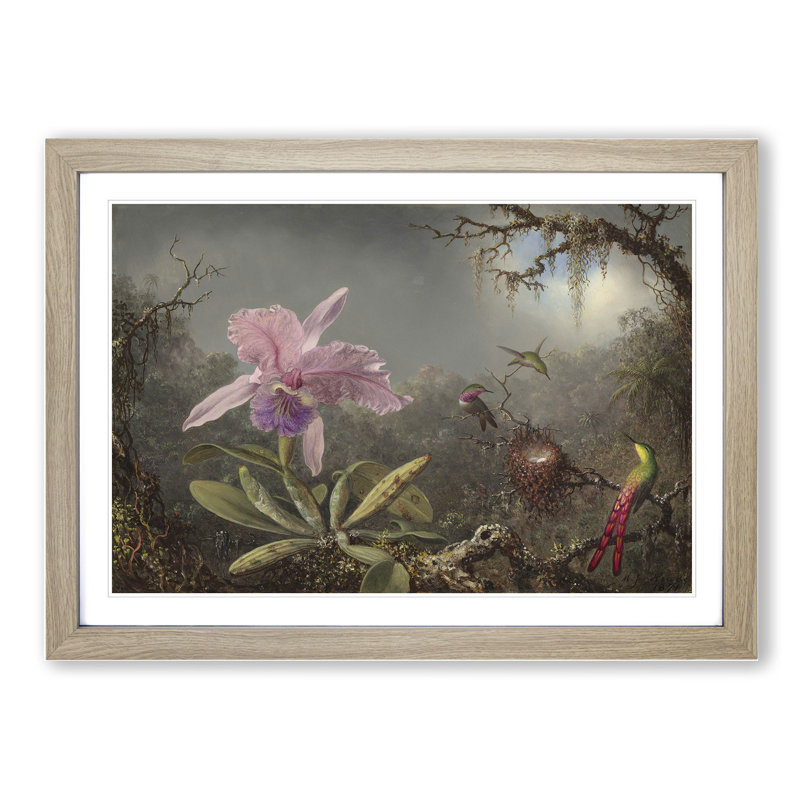 Cattleya Orchid and Hummingbirds by Martin Johnson Heade - Picture Frame Painting, Oak Framed, 27cm H x 36cm W x 2cm D