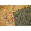 Hand Knotted Wool Area Rug in Green And Cream