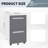 Bizoe Gray 2 Drawer Mobile File Cabinet with Lock, Pre-Assembled Body with Easy Wheel Installation