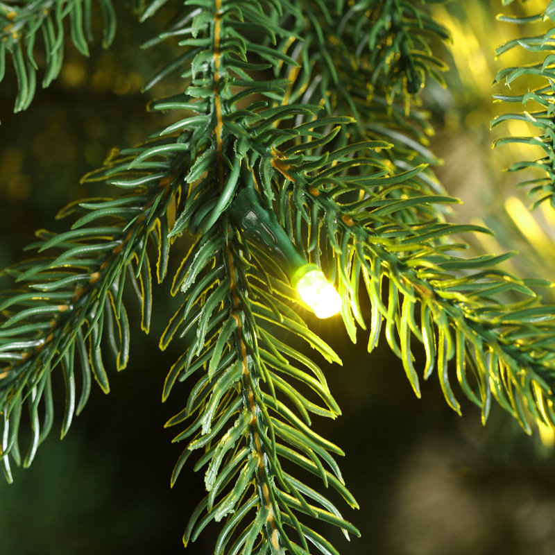 Sapin de Noël mince Aldred, 6'