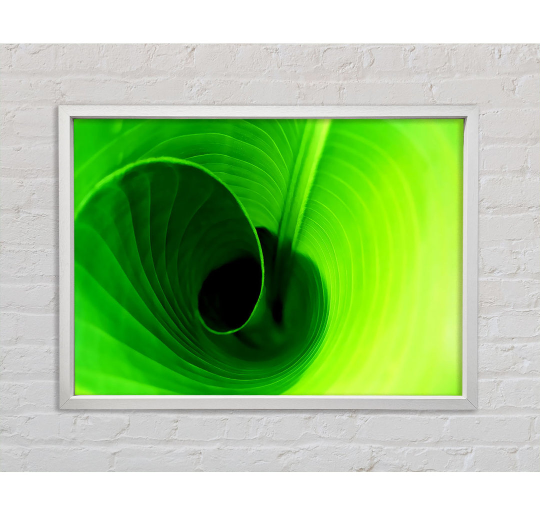 Twist Of A Green Leaf - Einzelner Bilderrahmen Kunstdrucke auf Leinwand