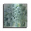 «Verdant Succulent II» par Grace Popp-185207701