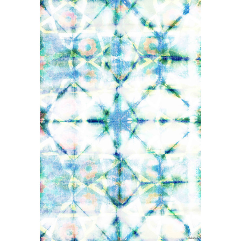 Parvez Taj - Wrapped Canvas Print, 76cm H x 51cm W