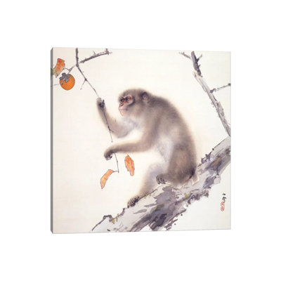 Monkey 1 Piece Wrapped Canvas Wall Art