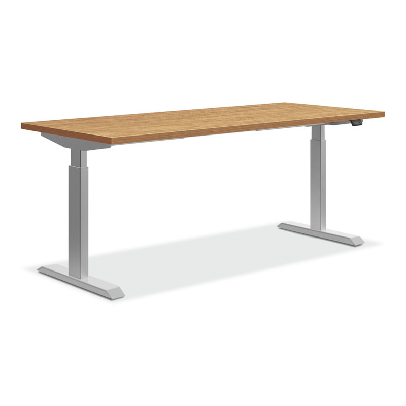 HON Coze Worksurface with Coordinate Height Adjustable Base, Natural Recon/Nickel, 36" H x 54" W x 24" D