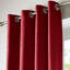 Bergman Sheer Curtain-29298056-29486595