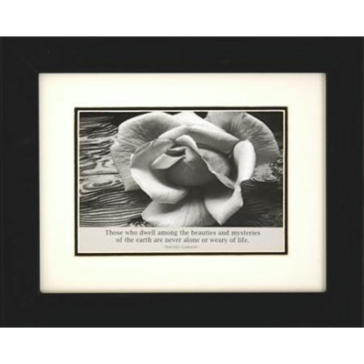 « white rose » par ansel adams, reproduction de photo encadrée