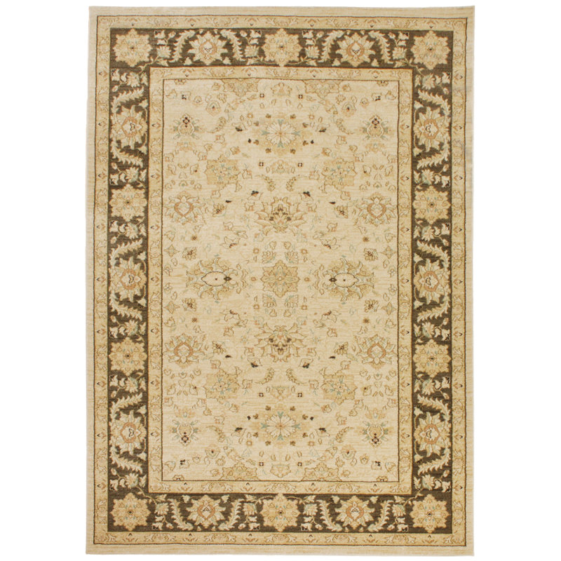 Aguilar Oriental Area Rug, Rectangle 200 x 300cm