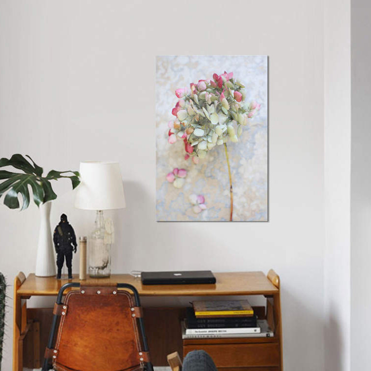 «Hydrangea pastel séché I», reproduction sur toile, H 18 po x l 12 po x P 1,5 po, Toile tendue, Pas de tapis