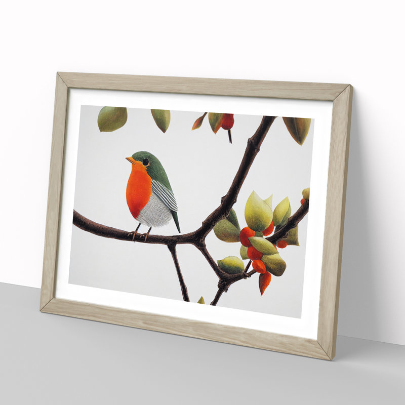 Captivating Robin Bird - Framed Print, Oak, 46cm H x 64cm W x 2cm D