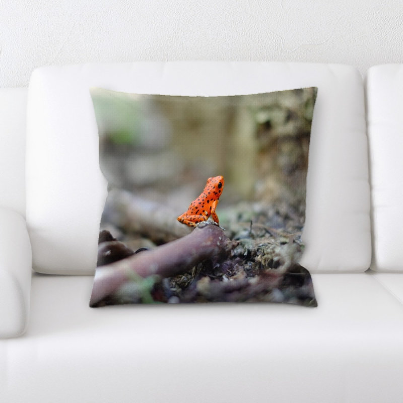 Coussin amphibien