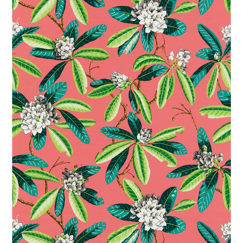 RHODODENDRON - OUTDOOR, Flamingo