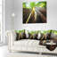 Coussin Sequoia Tree - Landscape