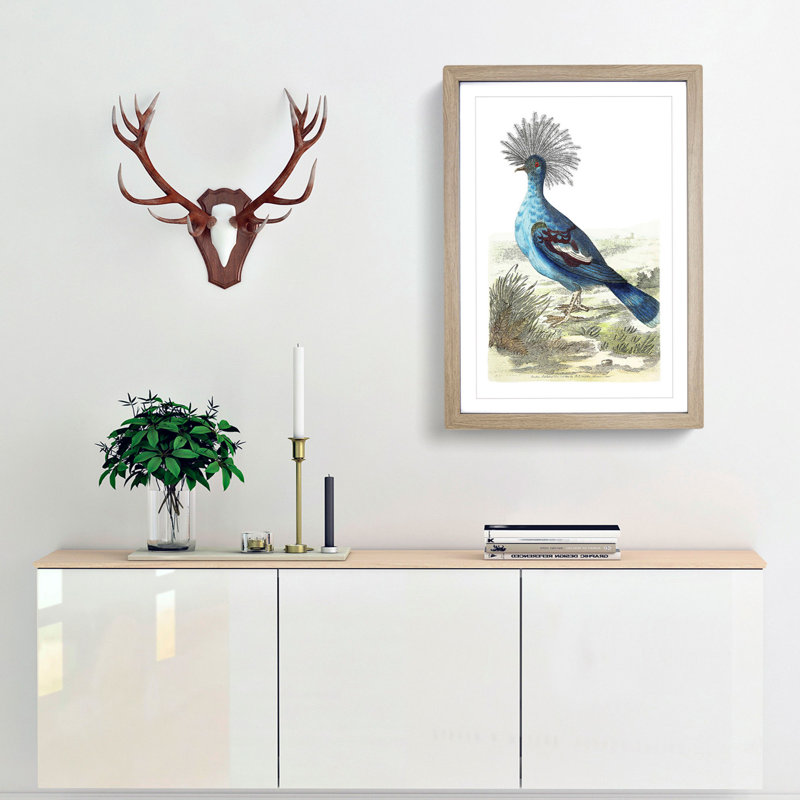 Crowned Pigeon by George Shaw - Picture Frame Painting Print, Oak Framed, 36cm H x 27cm W x 2cm D