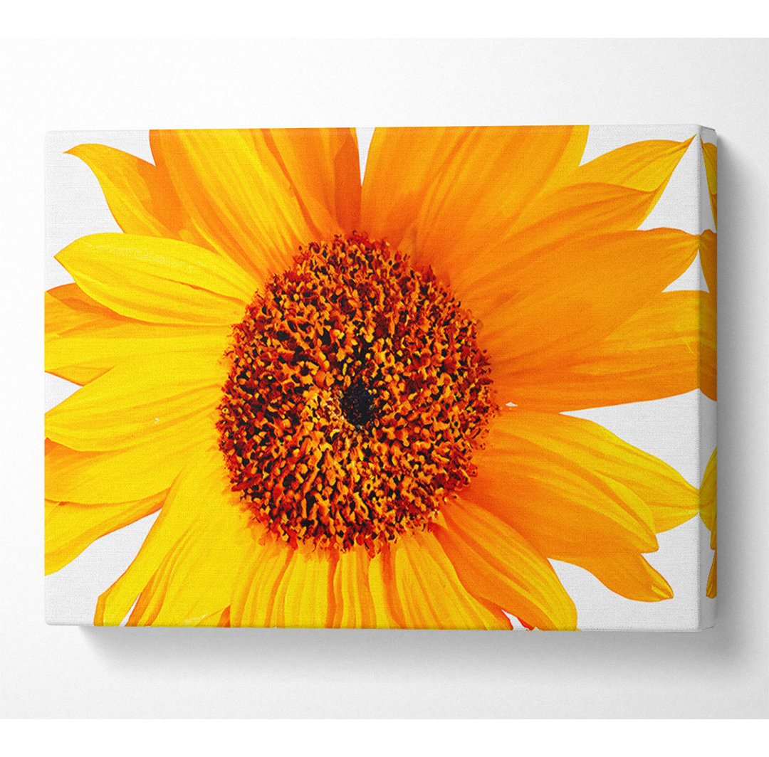 Sonnenblumenblüten - Kunstdrucke auf Leinwand - Wrapped Canvas