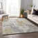 Premium Machine Washable Driessen AMF68 Moody Rug