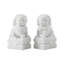 Dakota Fields 7,9 po Grande paire de lions en marbre blanc