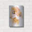 "Pomeranian" par Barbara Keith-1826327913