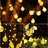 30 Light Solar String Lighting-1373479017