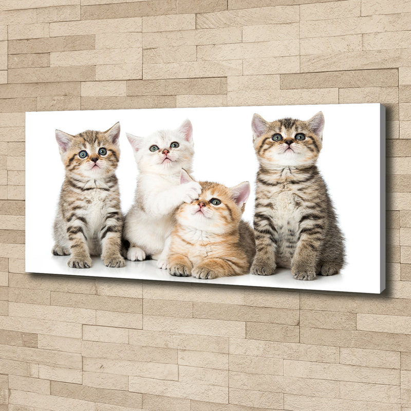 Small Cats - No Frame Print on Canvas
