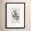 Sprig I by Coup D'esprit-1770249132