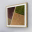 Single Picture Frame Print-90766622