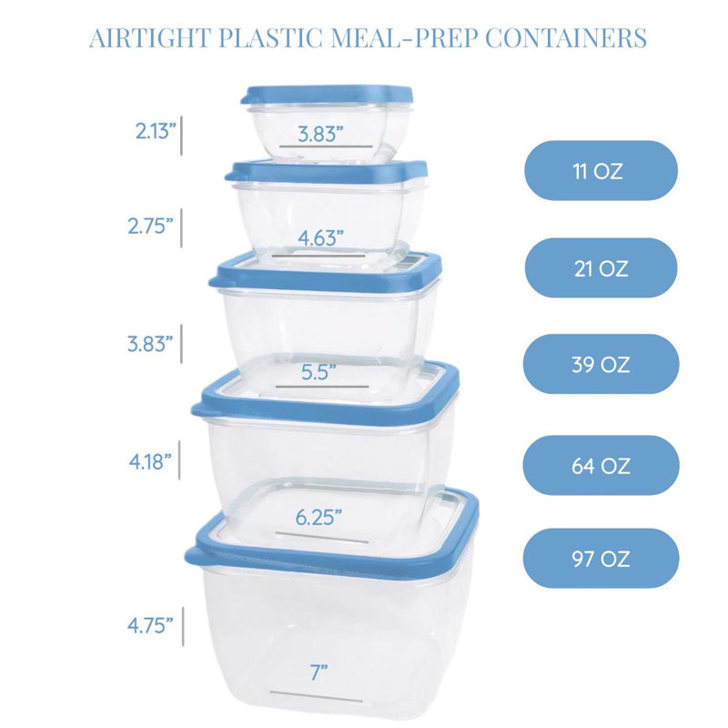 Damiyan 97oz. Food Storage Container, Blue