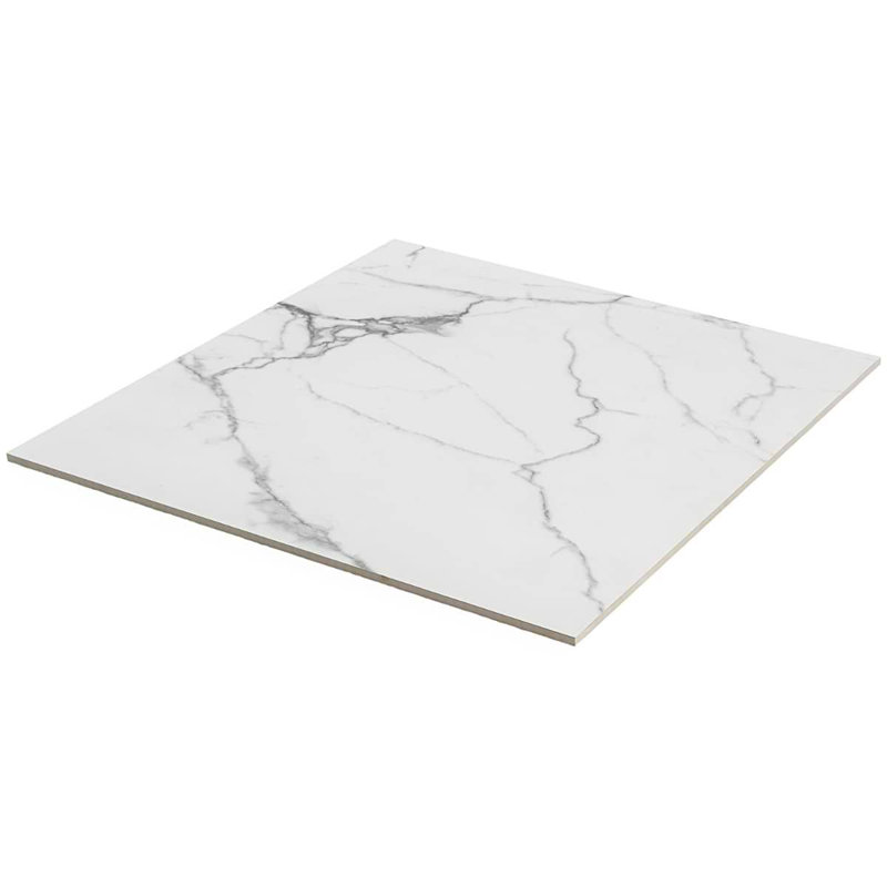 Dreamstone 24X24 Matte Porcelain Tile, Statuario Venato Matte