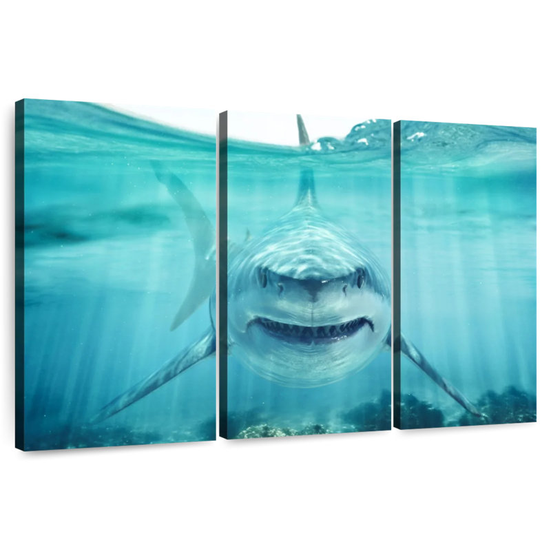 Predatory White Shark, 42" H x 65" W