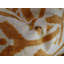 Velvet Rectangular Pillow Cover & Insert