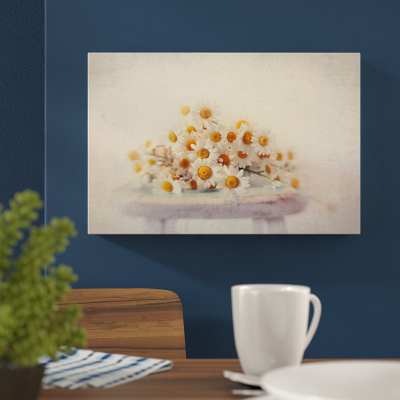 Sylvia Cook - Wrapped Canvas Print, 41cm H x 61cm W