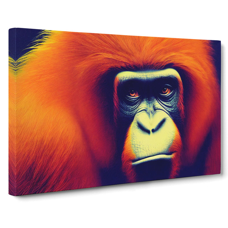 The Bewitching Orangutan - Wrapped Canvas, 35cm H x 50cm W x 3cm D