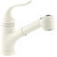 Coralais Pullout Single Handle Kitchen Faucet with MasterClean™-1739369972